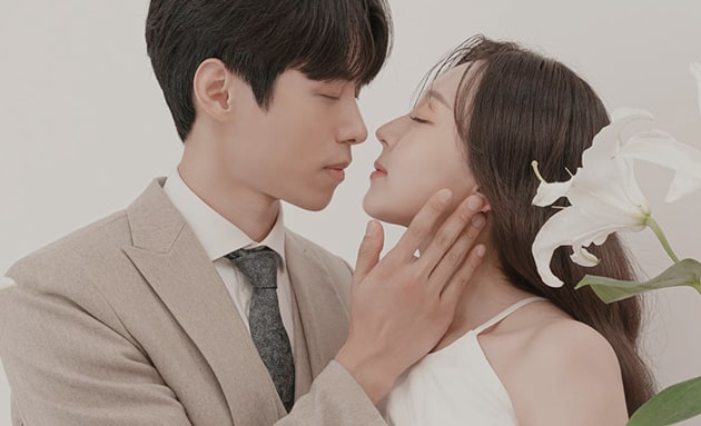 비디오이미지